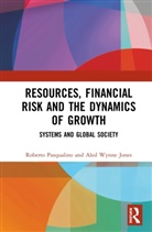 Aled Wynne Jones, Roberto Pasqualino, Roberto Jones Pasqualino - Resources, Financial Risk and the Dynamics of Growth
