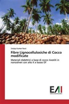 Sanjay Kumar Rout - Fibre Lignocellulosiche di Cocco modificate