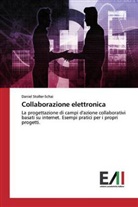 Daniel Stoller-Schai - Collaborazione elettronica