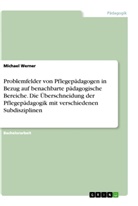 Michael Werner - Problemfelder von Pflegepädagogen in Bezug auf benachbarte pädagogische Bereiche. Die Überschneidung der Pflegepädagogik mit verschiedenen Subdisziplinen