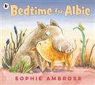 Sophie Ambrose, Sophie Ambrose - Bedtime for Albie