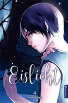 Anike Hage - Eislicht. Bd.4