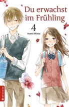Asato Shima - Du erwachst im Frühling. Bd.4