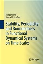 Murat Ad¿var, Mura Adivar, Murat Adivar, Youssef N Raffoul, Youssef N. Raffoul - Stability, Periodicity and Boundedness in Functional Dynamical Systems on Time Scales