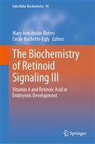 Mar Ann Asson-Batres, Mary Ann Asson-Batres, Mary Ann Asson-Batres, Rochette-Egly, Rochette-Egly, Cecile Rochette-Egly - The Biochemistry of Retinoid Signaling III