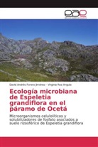 David André Forero Jiménez, David Andrés Forero Jiménez, Virginia Roa Angulo - Ecología microbiana de Espeletia grandiflora en el páramo de Ocetá