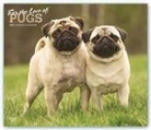 BrownTrout Publisher, Browntrout Publishing (COR) - For the Love of Pugs 2021 Calendar