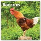 BrownTrout Publisher, Browntrout Publishing (COR) - Roosters 2021 Calendar