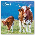 BrownTrout Publisher, Browntrout Publishing (COR) - Cows 2021 Calendar