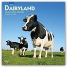 BrownTrout Publisher, Browntrout Publishing (COR) - Dairyland - America's Cow 2021 Calendar