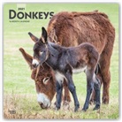 BrownTrout Publisher, Browntrout Publishing (COR) - Donkeys 2021 Calendar