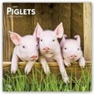 Brown Trout Publisher, Browntrout Publishing (COR) - Piglets 2021 Calendar