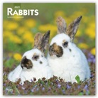 Browntrout, BrownTrout Publisher, Browntrout Publishing (COR) - Rabbits 2021 Calendar
