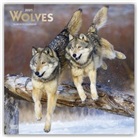 Browntrout, BrownTrout Publisher, Browntrout Publishing (COR) - Wolves 2021 Calendar