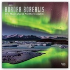 Browntrout, BrownTrout Publisher, Browntrout Publishing (COR) - Aurora Borealis the Magnificent Northern Lights 2021 Calendar