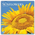 Browntrout, BrownTrout Publisher, Browntrout Publishing (COR) - Sunflowers 2021 Calendar