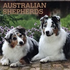 BrownTrout Publisher, Browntrout Publishing (COR) - Australian Shepherds 2021 Calendar