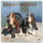 Browntrout, BrownTrout Publisher, Browntrout Publishing (COR) - Basset Hounds 2021 Calendar