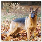 Browntrout, BrownTrout Publisher, Browntrout Publishing (COR) - German Shepherds 2021 Calendar