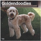 BrownTrout Publisher, Browntrout Publishing (COR) - Goldendoodles 2021 Calendar