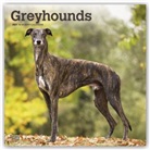 Browntrout, BrownTrout Publisher, Browntrout Publishing (COR) - Greyhounds 2021 Calendar