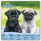 BrownTrout Publisher, Browntrout Publishing (COR) - Pug Puppies 2021 Calendar