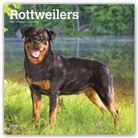 Browntrout, BrownTrout Publisher, Browntrout Publishing (COR) - Rottweilers 2021 Calendar