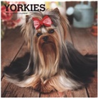 BrownTrout Publisher, Browntrout Publishing (COR) - Yorkshire Terriers 2021 Calendar
