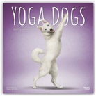 Browntrout, BrownTrout Publisher, Browntrout Publishing (COR) - Yoga Dogs 2021 Calendar