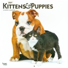 BrownTrout Publisher, Browntrout Publishing (COR) - Kittens & Puppies 2021 Calendar