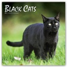 Browntrout, BrownTrout Publisher, Browntrout Publishing (COR) - Black Cats 2021 Calendar