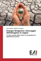 Dmitr Karpov, Dmitri Karpov, Vladimir Litunovsky - Energia idrogenica: stoccaggio dell'idrogeno in coppia