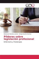 Montserra Sánchez Lorente, Montserrat Sánchez Lorente, Enriq Sanchis Sánchez, Enrique Sanchis Sánchez - Píldoras sobre legislación profesional