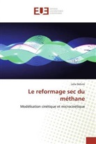 Leila Dehimi - Le reformage sec du méthane