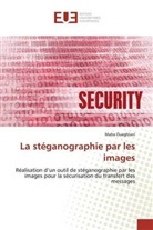 Maha Oueghlani - La stéganographie par les images