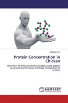 Mostafa Iman - Protein Concentration in Chicken