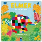 Flame Tree Publishing, Tree Flame - Elmer Wall Calendar 2021 (Art Calendar)