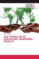 Boris Zalesski - Los límites de la asociación sostenible. Parte II
