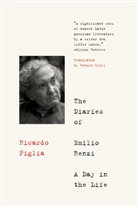 Ricardo Piglia - The Diaries of Emilio Renzi