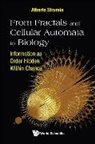 Alberto Strumia, Alberto Strumia - From Fractals And Cellular Automata To Biology: Information As Order Hidden Within Chance