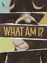 Amanda Sandland, Amanda Sandland, Amiel Sandland - What Am I?
