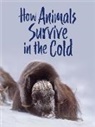 Kelly Graham, Kim Smith - How Animals Survive in the Cold