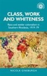 Nicola Ginsburgh - Class, Work and Whiteness
