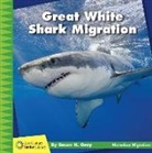 Susan H Gray, Susan H. Gray - Great White Shark Migration