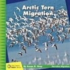 Susan H Gray, Susan H. Gray - Arctic Tern Migration