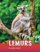 Jaclyn Jaycox - Lemurs