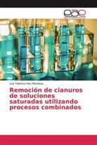 Luis Federico Hau Mendoza - Remoción de cianuros de soluciones saturadas utilizando procesos combinados