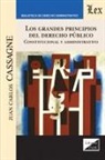 Juan Carlos Cassagne - LOS GRANDES PRINCIPIOS DEL DERECHO PÚBLICO. CONSTITUCIONAL Y ADMINISTRATIVO