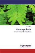 Kunjal Soni - Photosynthesis