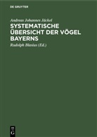 Andreas Johannes Jäckel, Rudolp Blasius, Rudolph Blasius - Systematische Übersicht der Vögel Bayerns